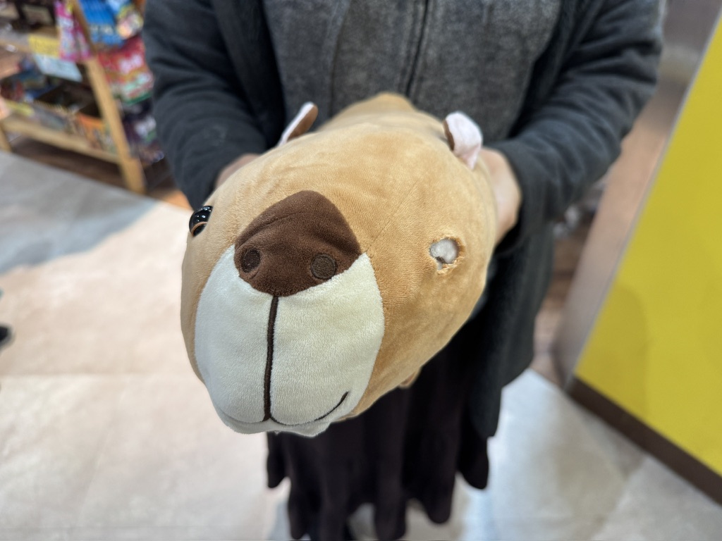 おもちゃの病院