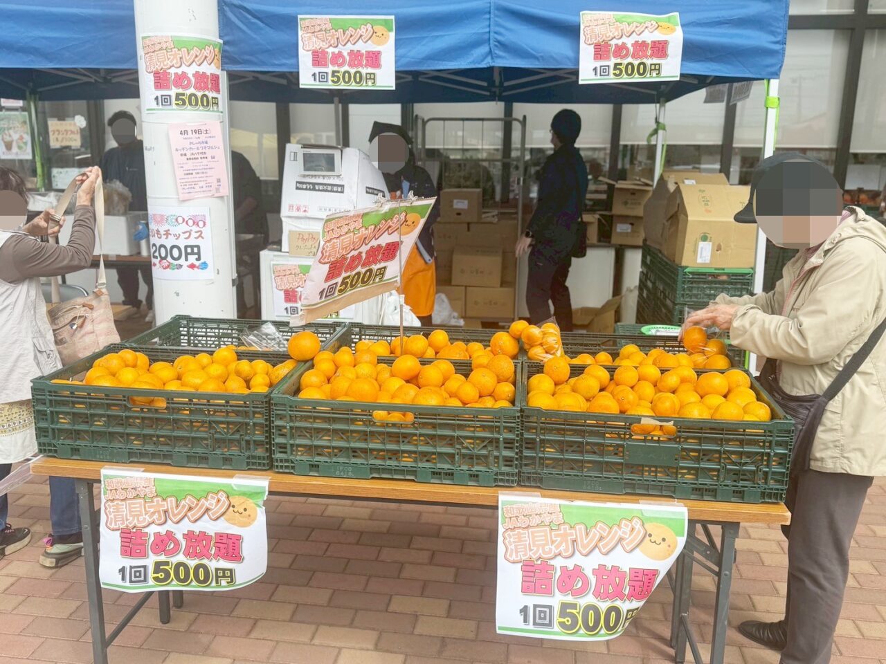 よったいよ春の桜まつり