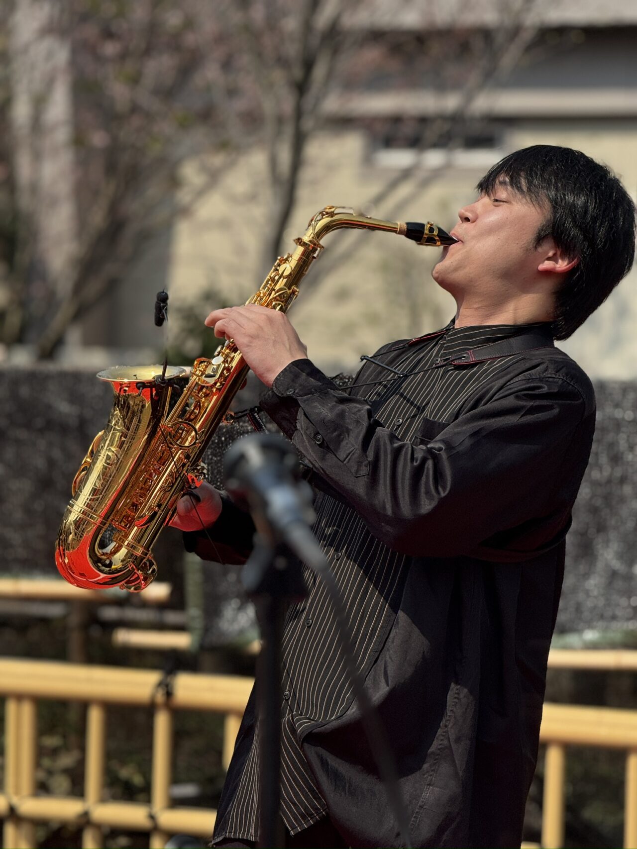 観桜楽会（かんおうがくかい） / OKUBO STREET MUSIC FESTIVAL