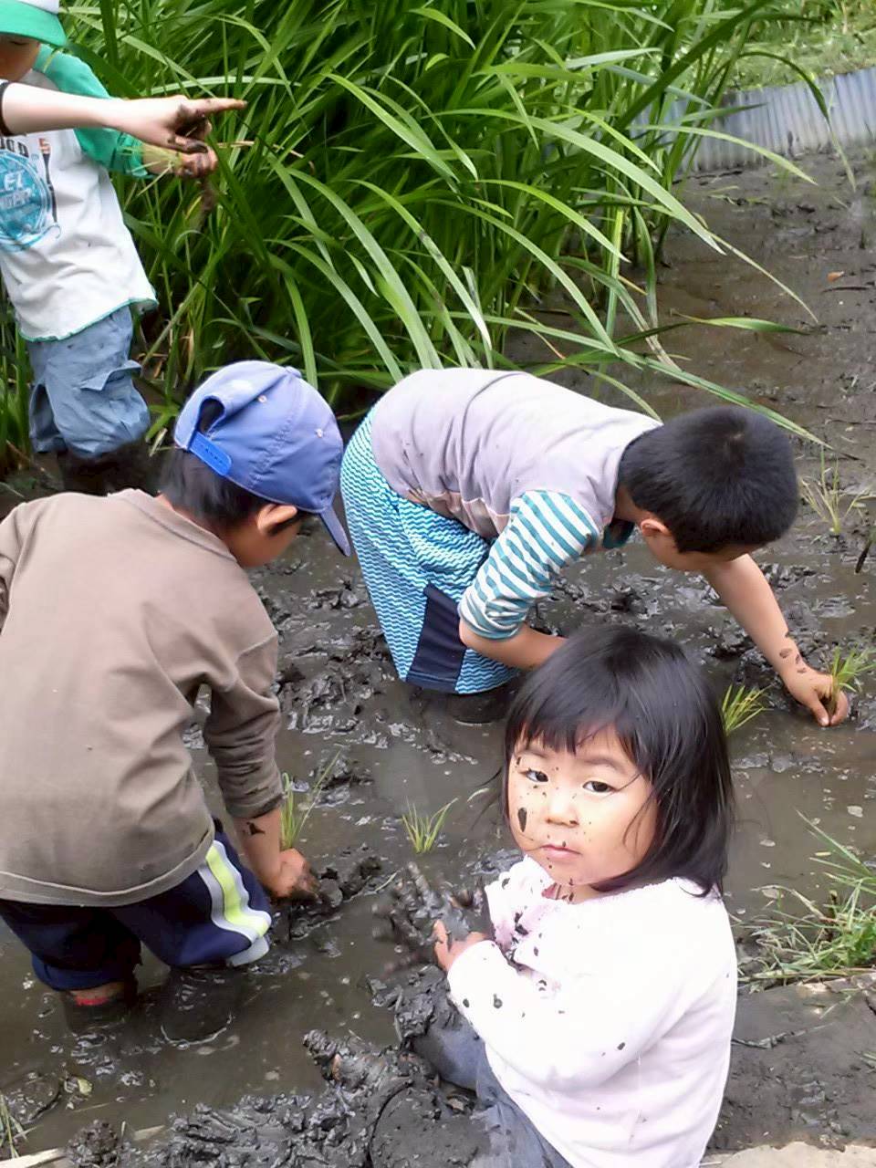 八千代自然と環境を考える会