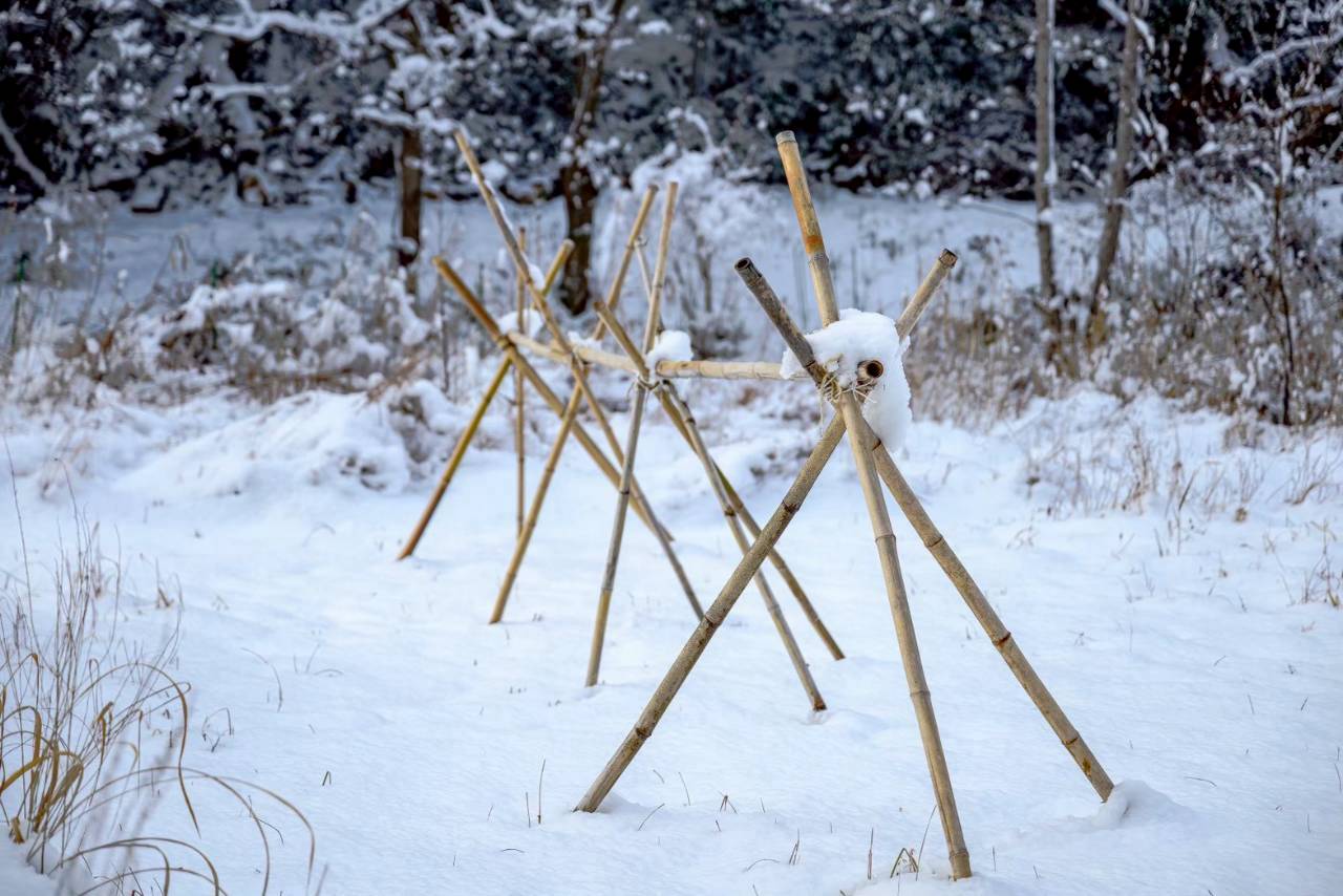八千代自然と環境を考える会