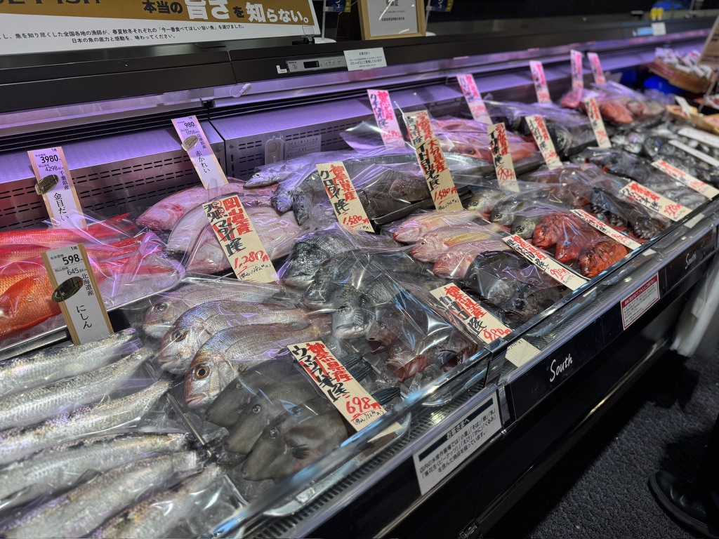 イオンモール津田沼サウス