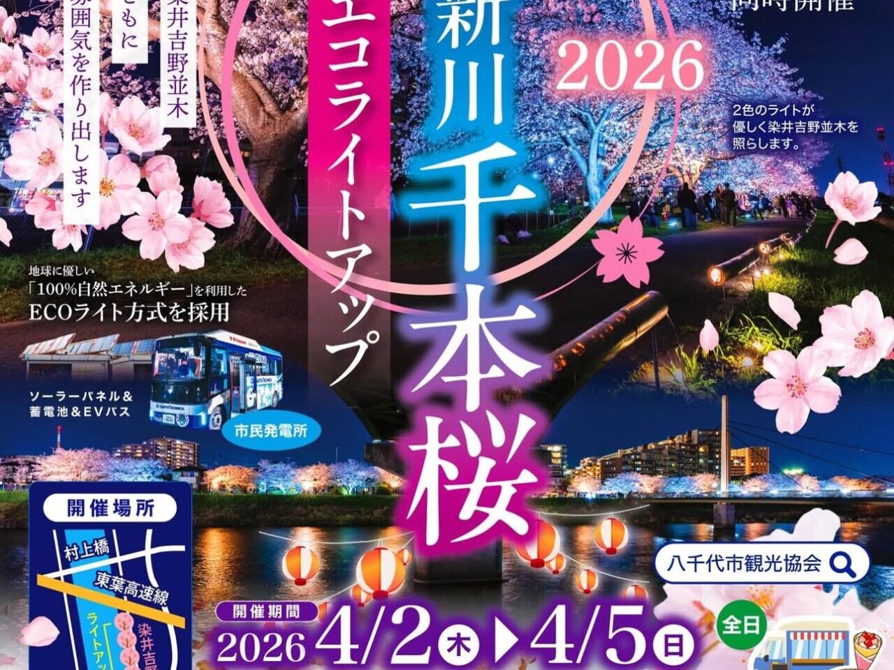 八千代新川千本桜染井吉野エコライトアップ