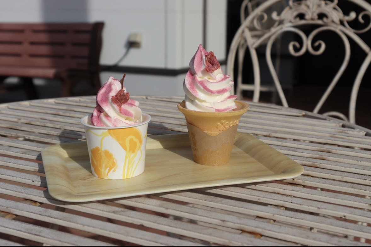 よったいよ春の桜まつり