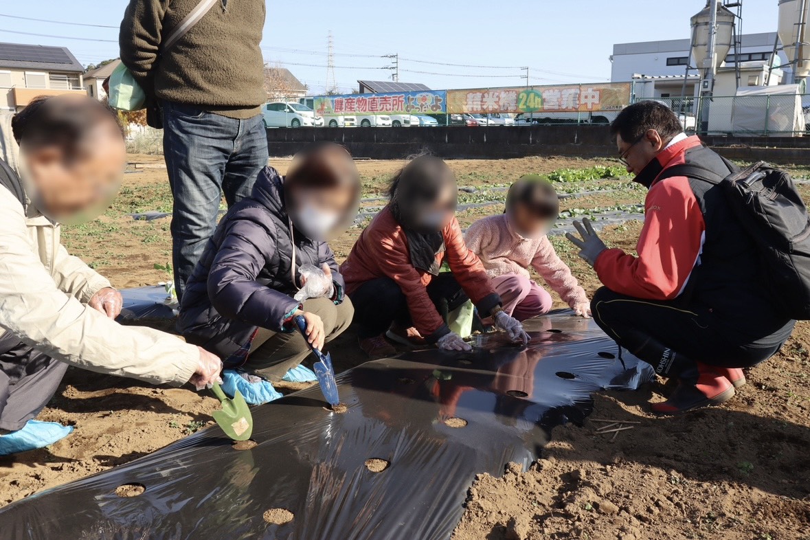よったいよ春の桜まつり