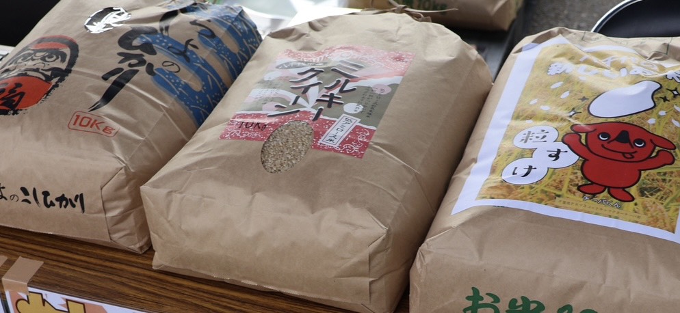 よったいよ春の桜まつり