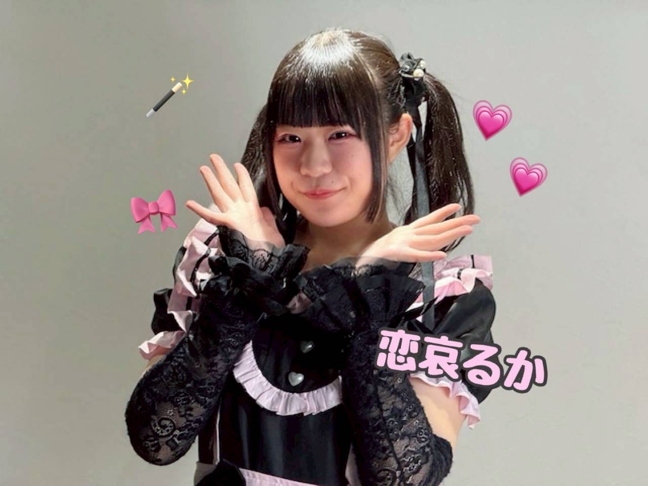 八千代新川千本桜染井吉野エコライトアップ