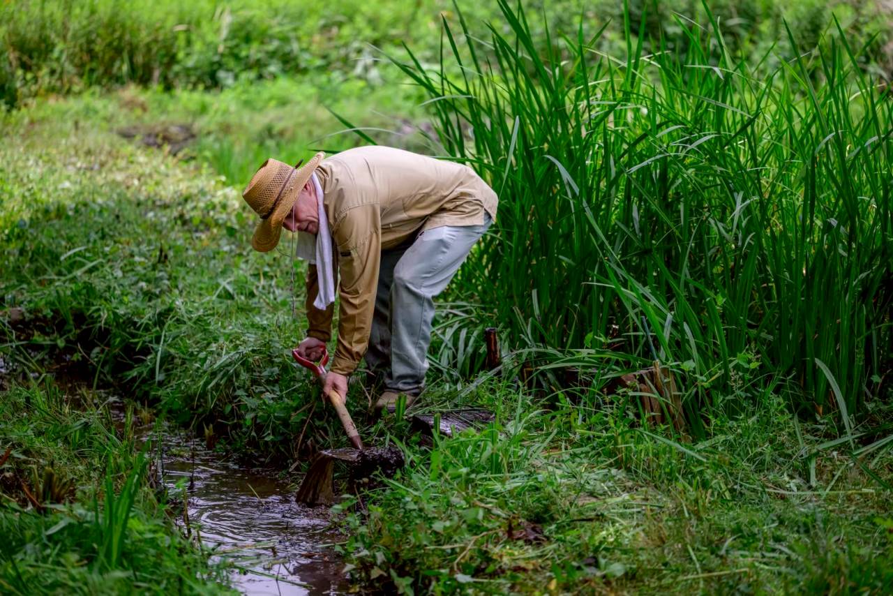 八千代自然と環境を考える会