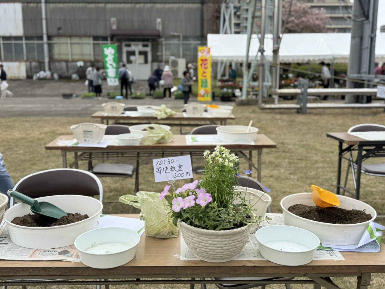 日立のお花見2026