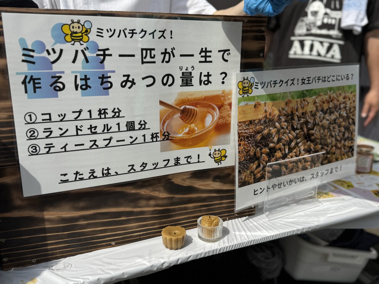 TOAシブル