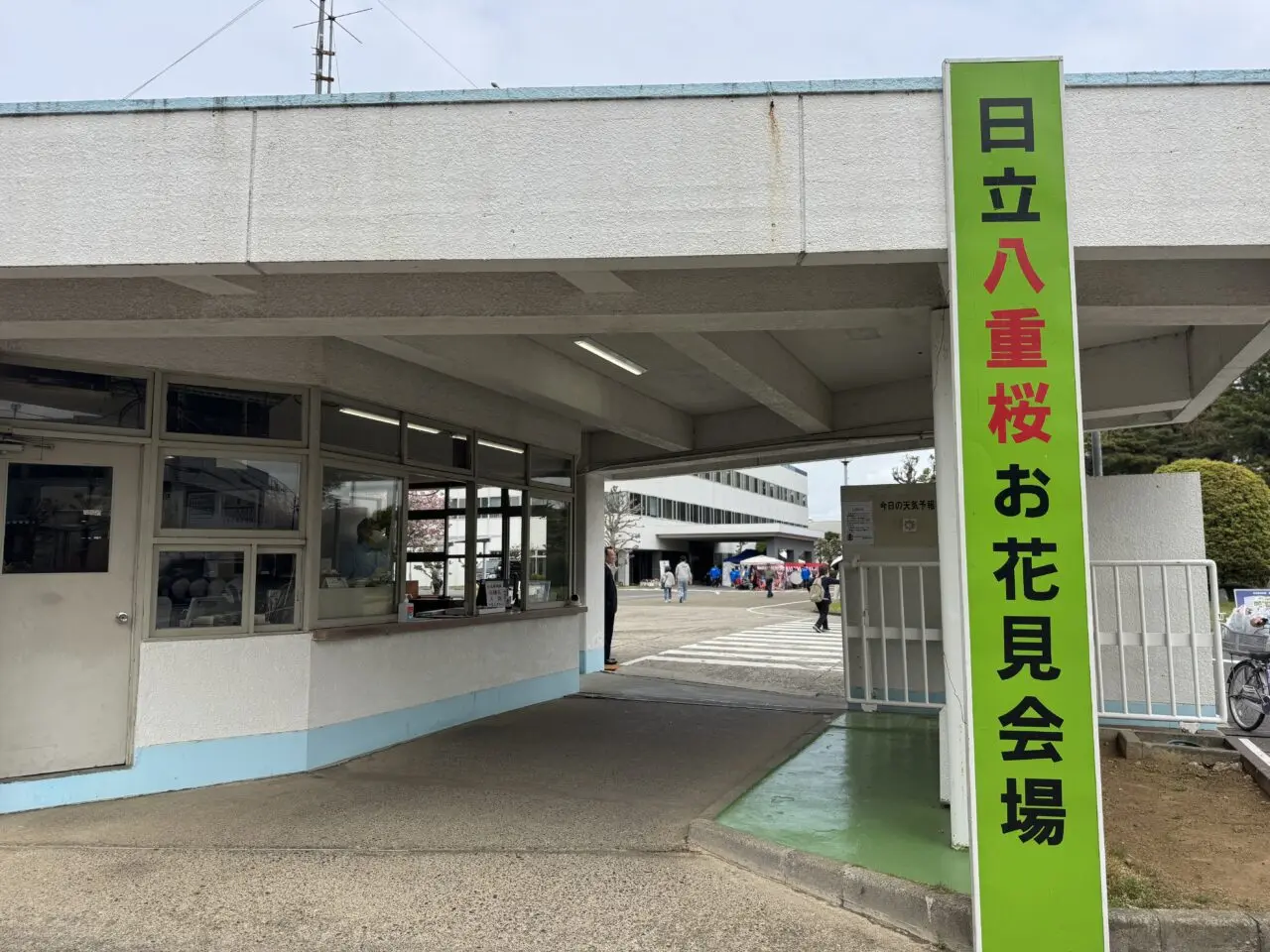 日立のお花見2026