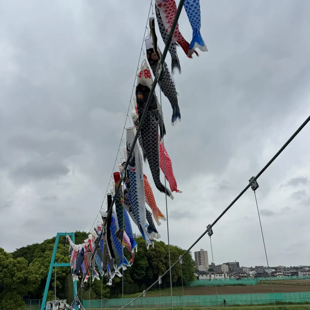 ゆらゆら橋鯉のぼり大遊泳2026