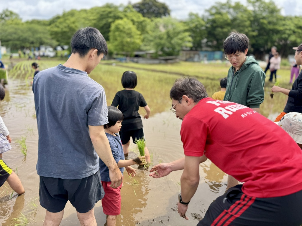 実籾郷の会田植え2026