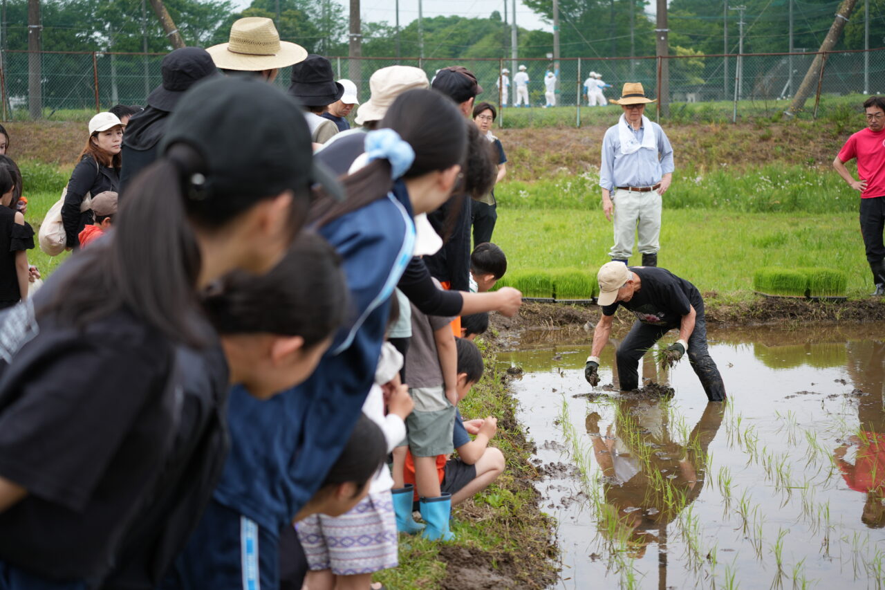 実籾郷の会田植え2026