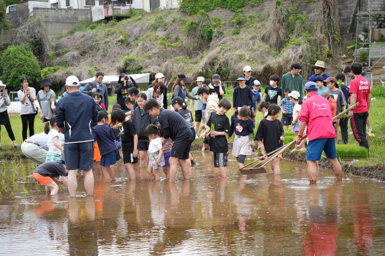 実籾郷の会田植え2026